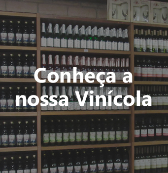 vinhos-1
